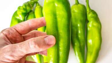 خواص فلفل سبز برای بدن