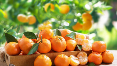 خواص نارنگی برای کودکان