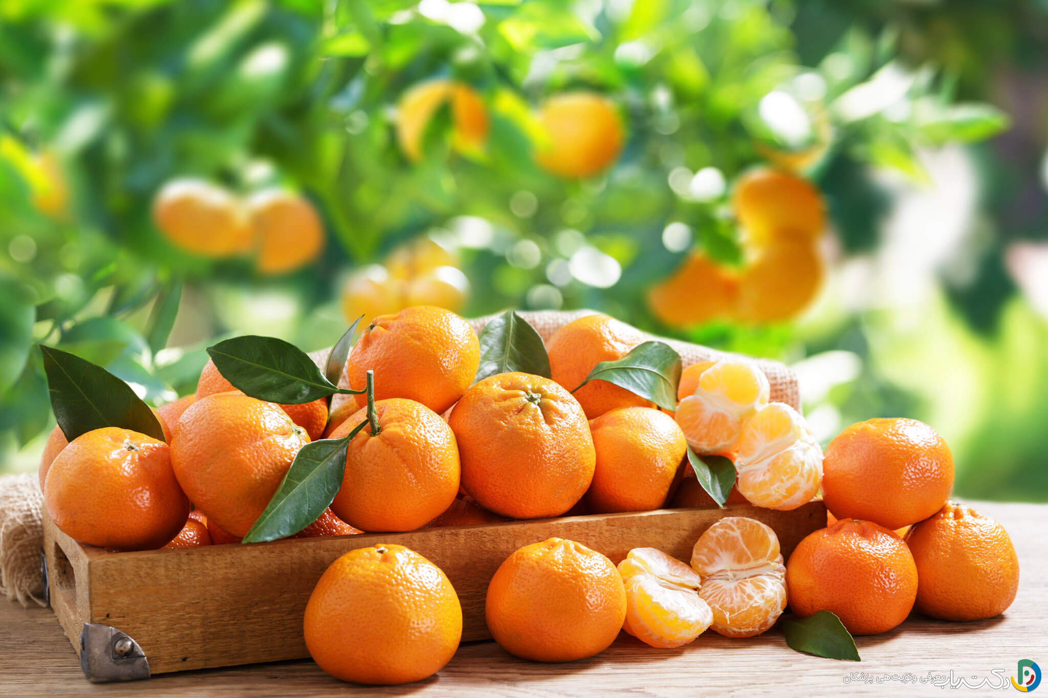 خواص نارنگی برای کودکان