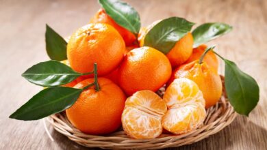 خواص نارنگی برای لاغری