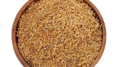 خواص افتیمون برای مغز