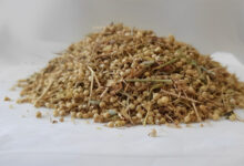 خواص افتیمون برای رحم