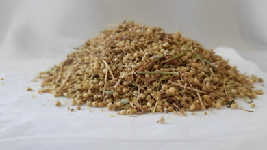 خواص افتیمون برای رحم