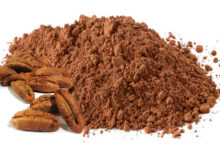 خواص هسته خرما برای کلیه