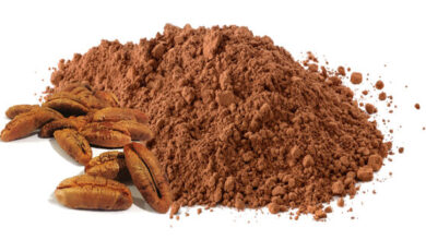 خواص هسته خرما برای کلیه