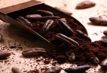 خواص هسته خرما برای لاغری