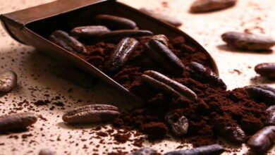 خواص هسته خرما برای لاغری