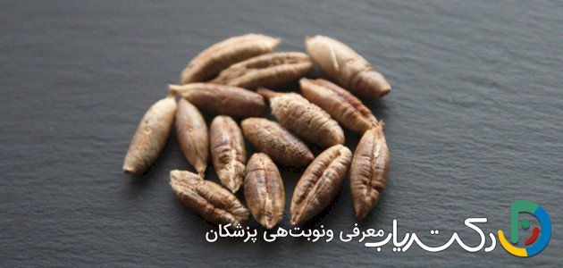 خواص هسته خرما برای قلب