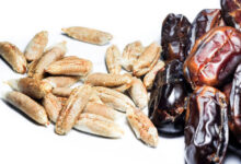 خواص هسته خرما برای کبد چرب