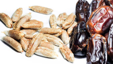 خواص هسته خرما برای کبد چرب