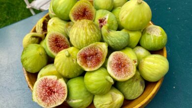 خواص انجیر برای معده