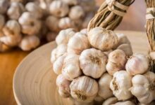 خواص سیر در بارداری