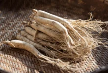 خواص جینسینگ برای کودکان