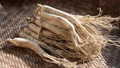خواص جینسینگ برای کودکان