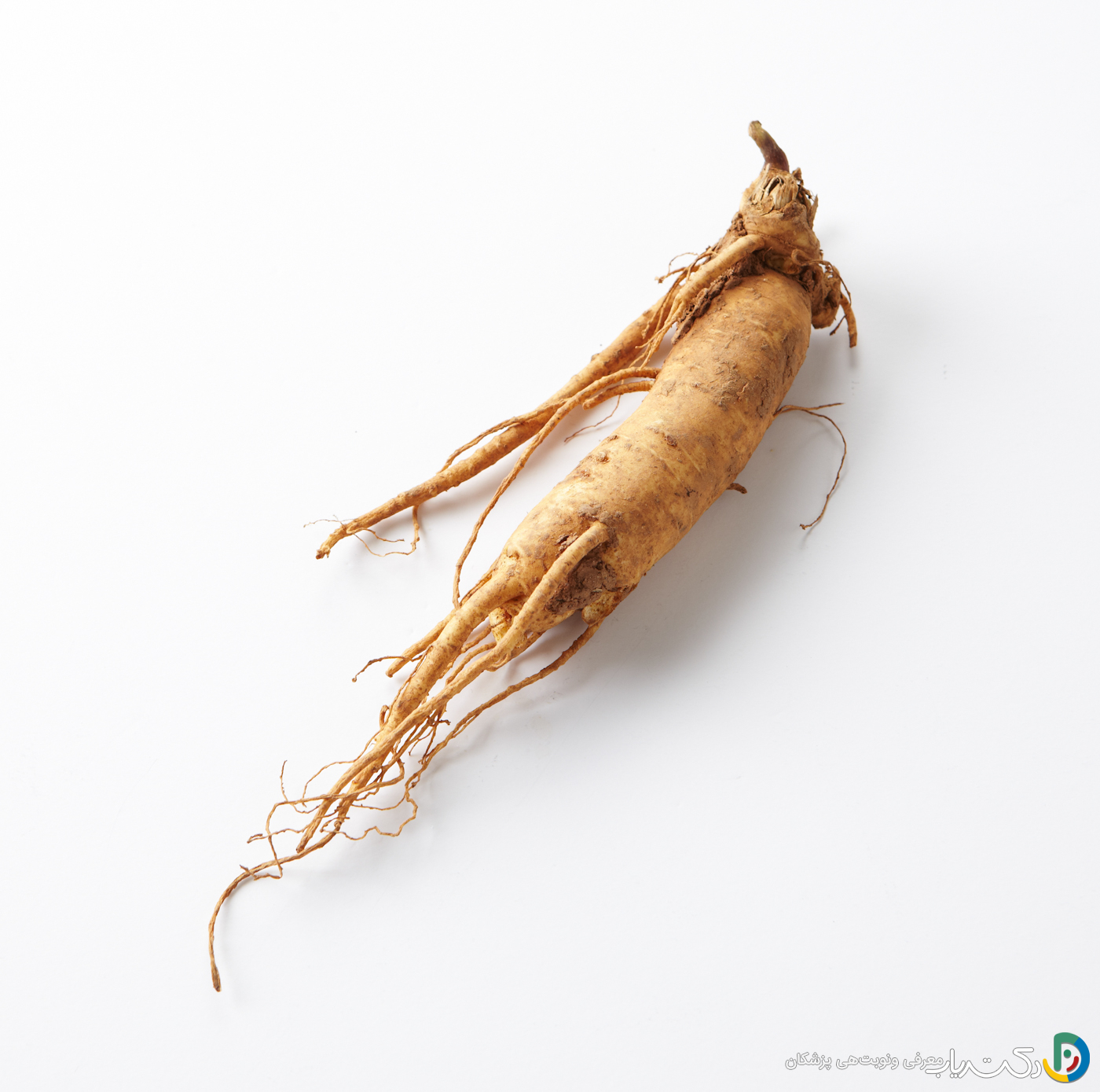 خواص جینسینگ برای رابطه زناشویی