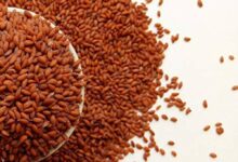 خواص تخم شاهی برای زنان