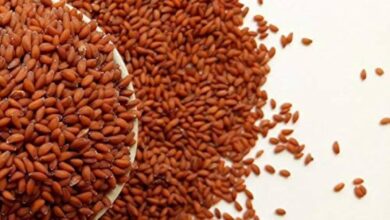 خواص تخم شاهی برای زنان