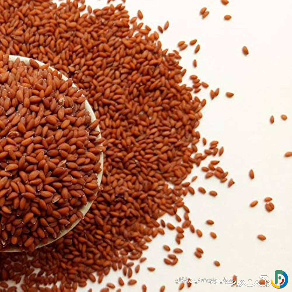 خواص تخم شاهی برای زنان