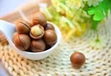 خواص ماکادمیا برای کودکان