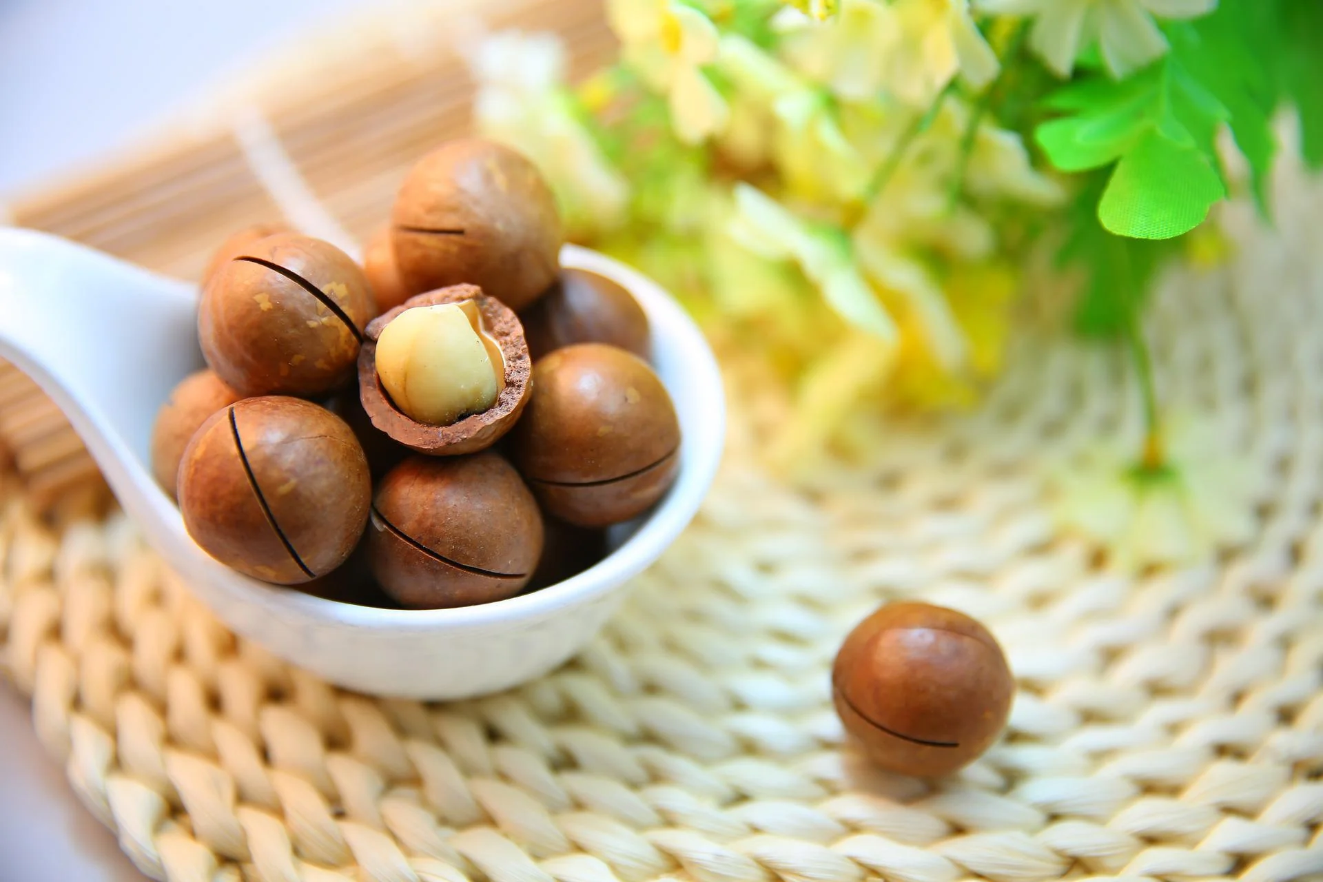 خواص ماکادمیا برای کودکان