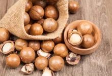 خواص ماکادمیا برای پوست