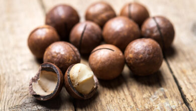 خواص ماکادمیا برای بارداری