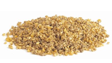 خواص ترنجبین برای رحم