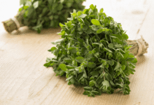 خواص مرزنجوش برای مغز