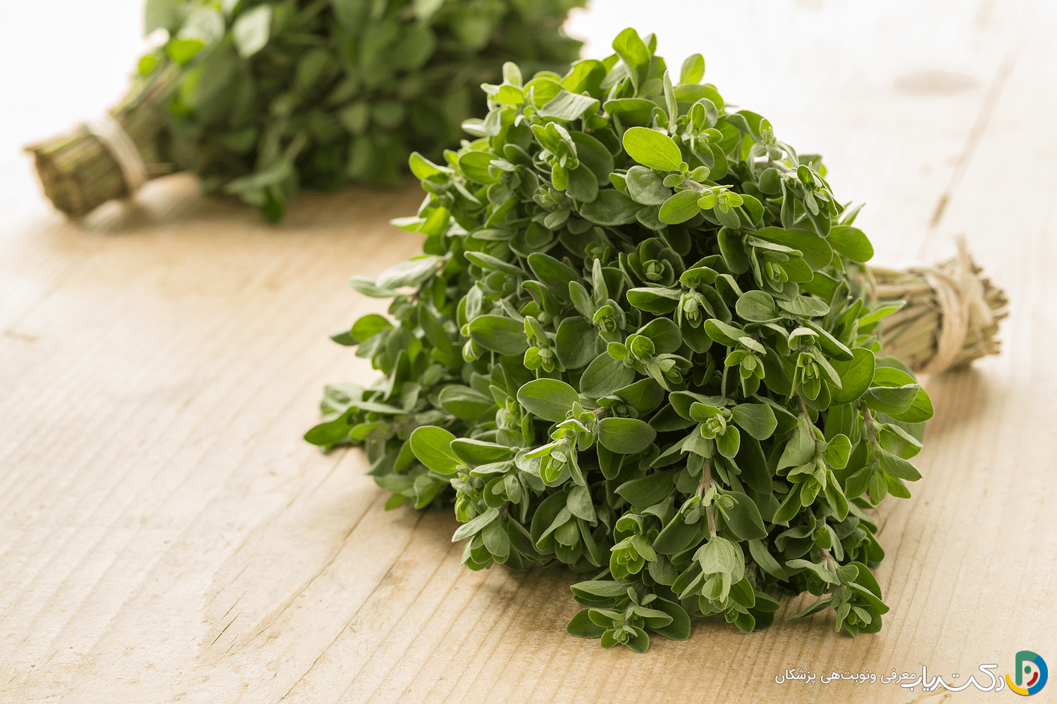 خواص مرزنجوش برای مغز