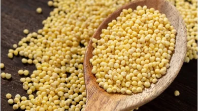 خواص ارزن برای لاغری