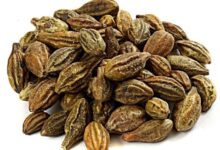 خواص هلیله سیاه برای مردان