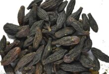 خواص هلیله سیاه برای یبوست