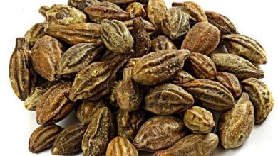 خواص هلیله سیاه برای مردان