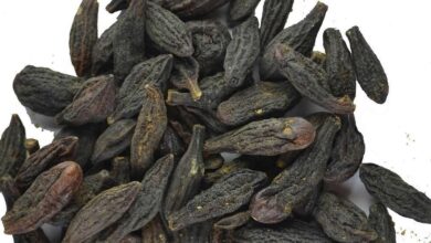 خواص هلیله سیاه برای یبوست