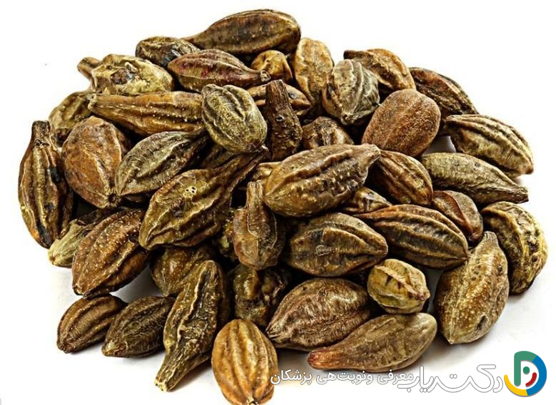 خواص هلیله سیاه برای مردان