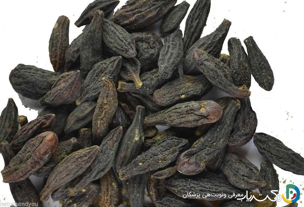 خواص هلیله سیاه برای یبوست