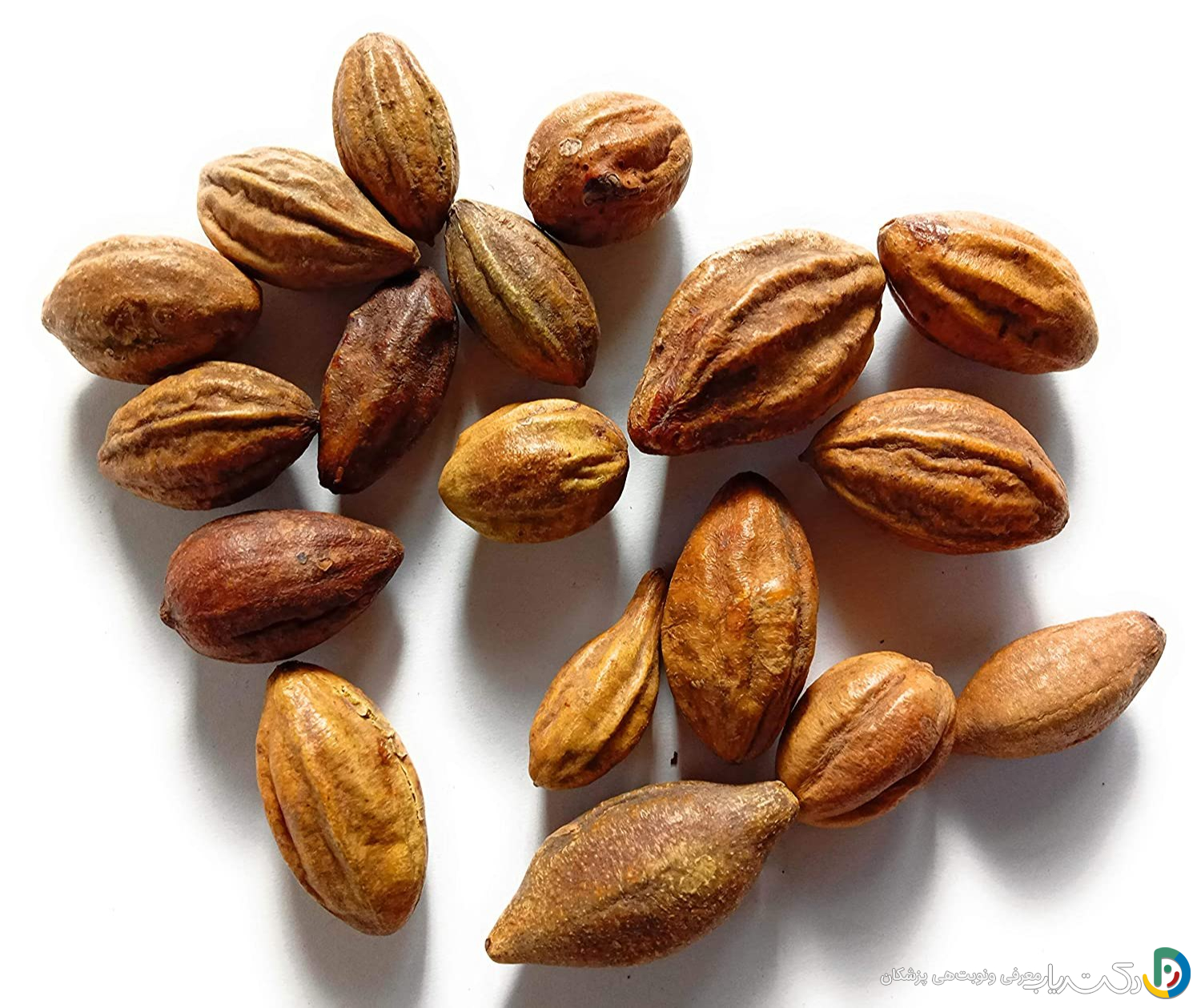 خواص هلیله سیاه برای مغز