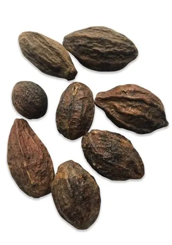 خواص هلیله سیاه برای مو