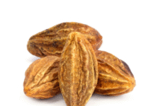 خواص هلیله سیاه برای رحم