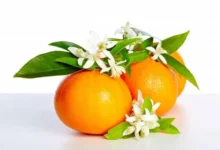 خواص عرق بهار نارنج برای زنان