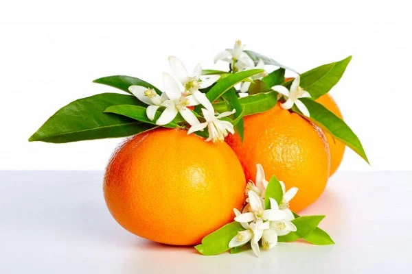 خواص عرق بهار نارنج برای زنان