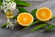 خواص عرق بهار نارنج برای بارداری