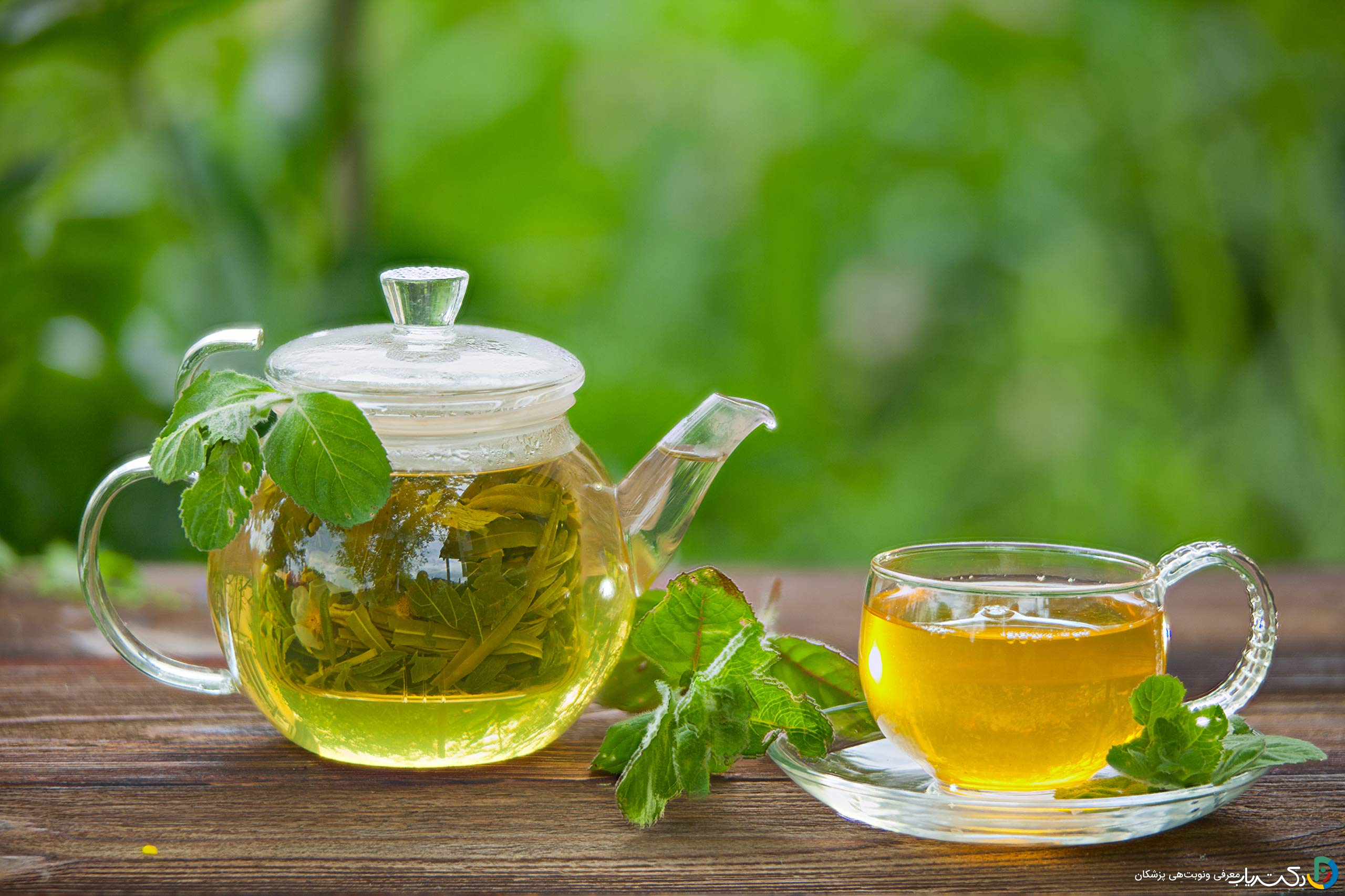 خواص دمنوش پونه برای کودکان