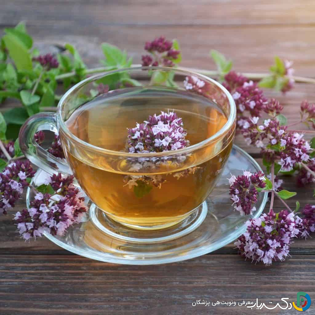 خواص دمنوش پونه برای عفونت رحم