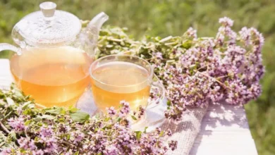 خواص دمنوش پونه برای پریودی