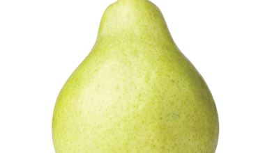 خواص گلابی برای کودکان