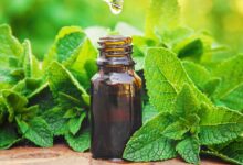 خواص روغن نعناع برای مو