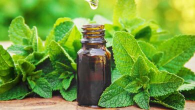 خواص روغن نعناع برای مو