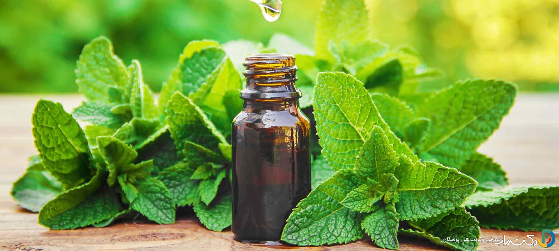 خواص روغن نعناع برای مو