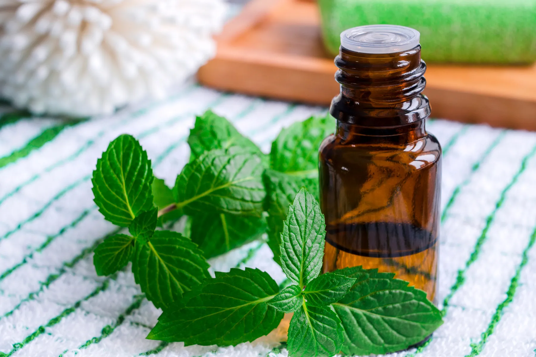 خواص روغن نعناع برای لب